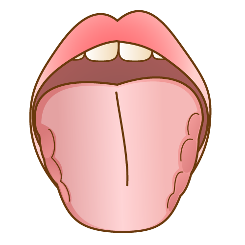 舌を見ることで身体のことが分かる