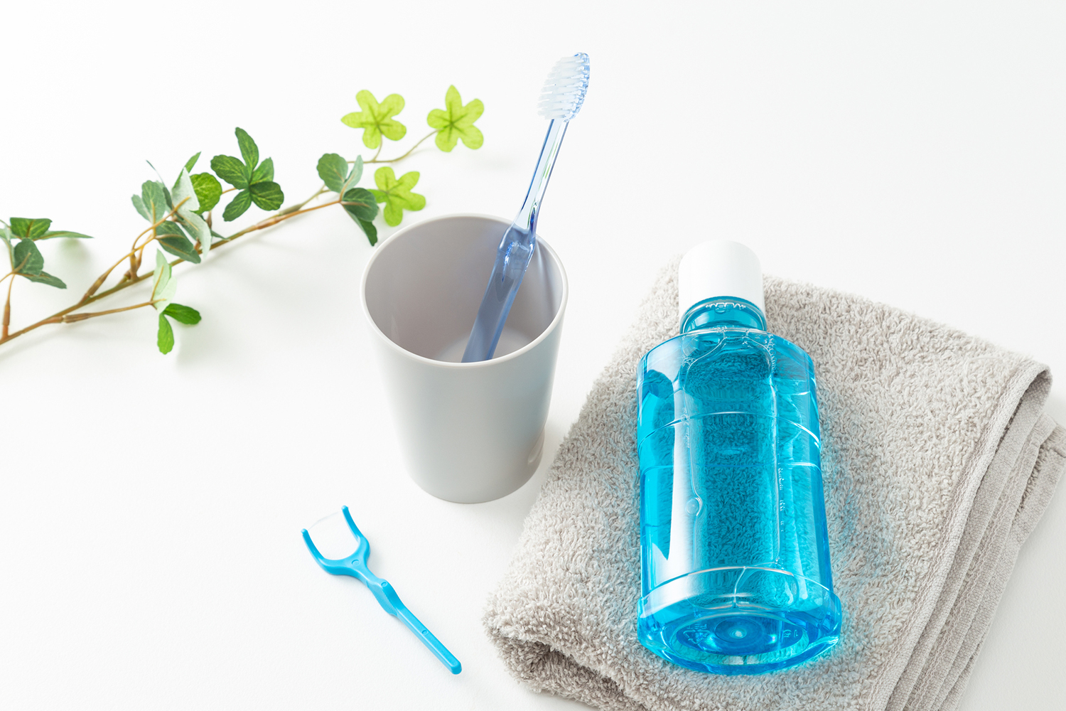 歯ブラシとデンタルフロス