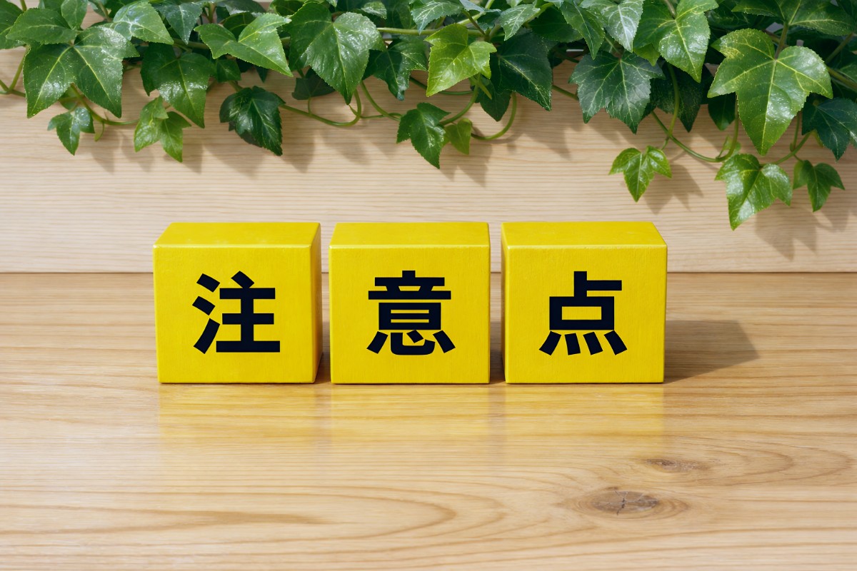 歯のクリーニングを受ける際の注意点